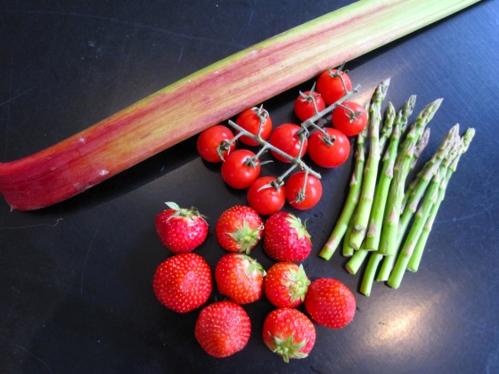 A few of the ingredients for the Maple Tossed Rhubarb & Puy Salad